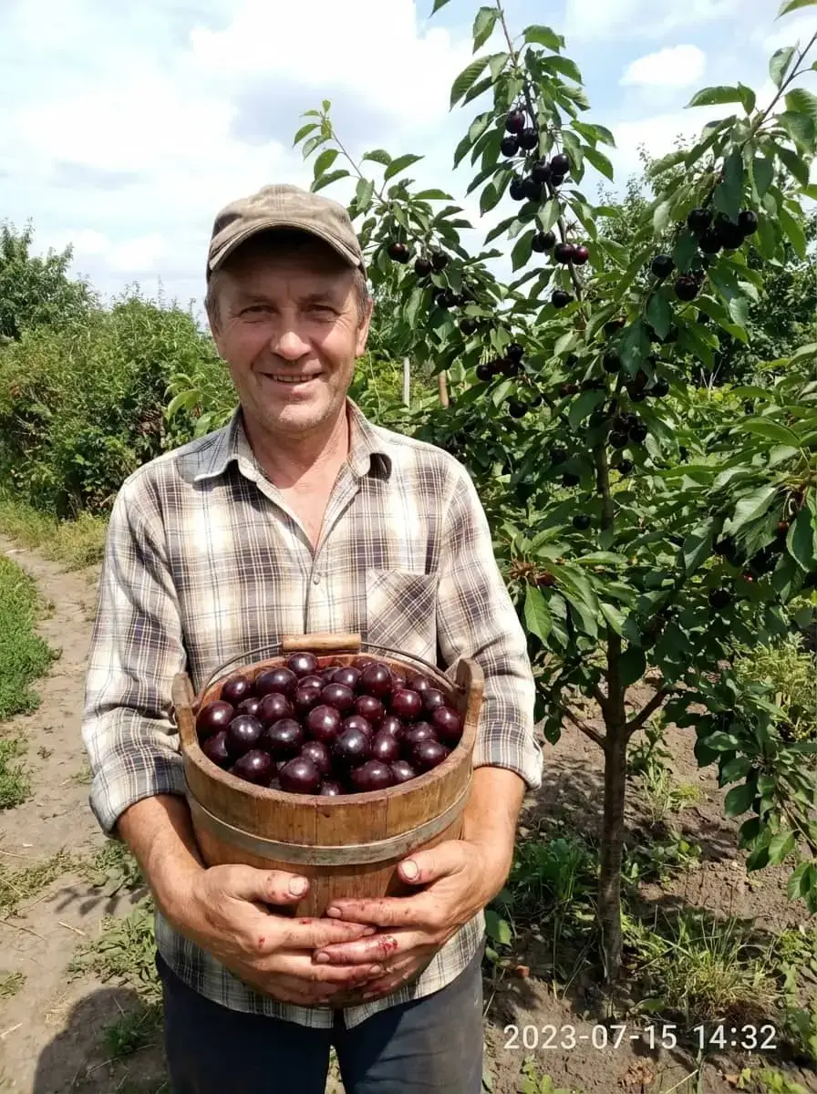 Фото відгуку 6